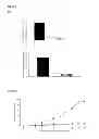 Fig. 06 - Nucleic and amino acid sequences for the control of pathogen agents