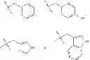 Fig. 43 - Linear peptide antibiotics