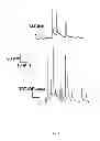 Fig. 07 - Inhibitors of Bcl-2