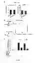Fig. 09 - Inhibitors of Bcl-2