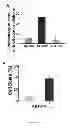 Fig. 11 - Inhibitors of Bcl-2