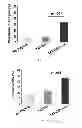 Fig. 13 - Inhibitors of Bcl-2