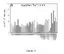 Fig. 08 - Mutant NGAL proteins and uses thereof