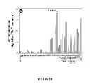 Fig. 09 - Mutant NGAL proteins and uses thereof