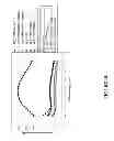 Fig. 25 - Mutant NGAL proteins and uses thereof