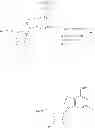 Fig. 23 - METHOD OF REDUCING INTRAOCULAR PRESSURE IN HUMANS