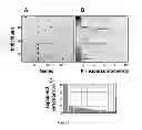 Fig. 03 - METHODS AND COMPOSITIONS FOR DIAGNOSING AND TREATING LUPUS