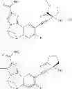Fig. 1306 - Tricyclic compounds and methods of use therefor