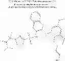 Fig. 124 - Quinoxalines derivatives and pharmaceutical compositions and kits