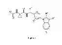 Fig. 02 - INDOLE DERIVATIVES