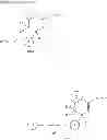 Fig. 28 - Naphthyridine derivative