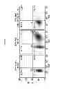 Fig. 02 - Efficacy in treating bacterial infections