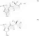 Fig. 49 - Fungicidal compositions comprising a carboxamide