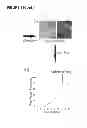 Fig. 03 - METHODS AND COMPOSITIONS FOR THE IMPROVEMENT OF SKELETAL MUSCLE FUNCTION IN A MAMMAL