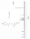 Fig. 13 - Polymers bearing pendant pentafluorophenyl ester groups, and methods of synthesis and functionalization thereof