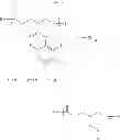Fig. 134 - Polymers bearing pendant pentafluorophenyl ester groups, and methods of synthesis and functionalization thereof