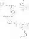Fig. 136 - Polymers bearing pendant pentafluorophenyl ester groups, and methods of synthesis and functionalization thereof