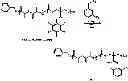 Fig. 141 - Polymers bearing pendant pentafluorophenyl ester groups, and methods of synthesis and functionalization thereof