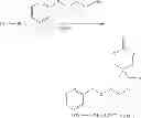 Fig. 21 - Polymers bearing pendant pentafluorophenyl ester groups, and methods of synthesis and functionalization thereof