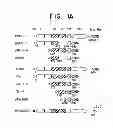 Fig. 02 - ErbB interface peptidomimetics and methods of use thereof