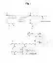 Fig. 02 - Methods for preparing PEG-hemoglobin conjugates using reduced reactant ratios