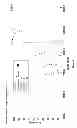 Fig. 09 - Method to Improve Glycosylation Profile and to Induce Maximal Cytotoxicity for Antibody
