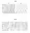 Fig. 04 - Tumor specific antibody