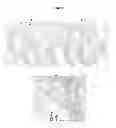 Fig. 06 - Tumor specific antibody