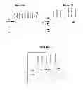 Fig. 08 - Tumor specific antibody