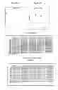 Fig. 09 - Tumor specific antibody