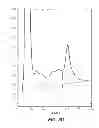 Fig. 07 - Recombinant production of vascular endothelial growth factor