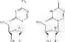 Fig. 24 - CONJUGATES COMPRISING HYDROXYALKYL STARCH AND A CYTOTOXIC AGENT AND PROCESS FOR THEIR PREPARATION