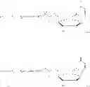 Fig. 40 - CONJUGATES COMPRISING HYDROXYALKYL STARCH AND A CYTOTOXIC AGENT AND PROCESS FOR THEIR PREPARATION
