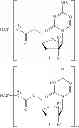 Fig. 64 - CONJUGATES COMPRISING HYDROXYALKYL STARCH AND A CYTOTOXIC AGENT AND PROCESS FOR THEIR PREPARATION