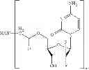 Fig. 65 - CONJUGATES COMPRISING HYDROXYALKYL STARCH AND A CYTOTOXIC AGENT AND PROCESS FOR THEIR PREPARATION