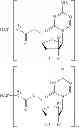 Fig. 72 - CONJUGATES COMPRISING HYDROXYALKYL STARCH AND A CYTOTOXIC AGENT AND PROCESS FOR THEIR PREPARATION