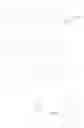 Fig. 16 - Purinone derivative
