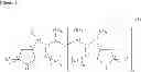 Fig. 02 - Catalyst for asymmetric hydrogenation and method for manufacturing optically active carbonyl compound using the same