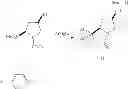 Fig. 74 - Catalyst for asymmetric hydrogenation and method for manufacturing optically active carbonyl compound using the same