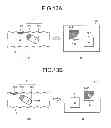 Fig. 14 - CAPSULE ENDOSCOPE SYSTEM, OPERATING METHOD OF IMAGE DISPLAY, AND COMPUTER-READABLE RECORDING MEDIUM