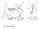 Fig. 04 - Method and apparatus for estimating a pulse arrival time value