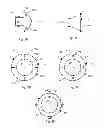 Fig. 06 - Drug eluting insert for implantable body