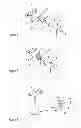 Fig. 03 - Integration of surgical instrument and display device for assisting in image-guided surgery