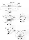 Fig. 04 - METHOD AND APPARATUS FOR MATERIAL REMOVAL