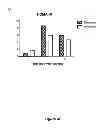 Fig. 09 - AN ISCHEMIA AND REPERFUSION DEVICE
