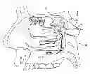 Fig. 01 - Neuroprotective electrical stimulation