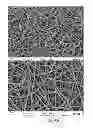 Fig. 07 - Scaffold system for tissue repair