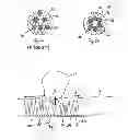Fig. 07 - MEDICAL DEVICE AND SYSTEM HAVING SUCH A DEVICE