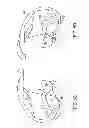 Fig. 07 - Systems and methods for providing an asymmetrical tibial component