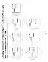 Fig. 46 - Benchmarks for Normal Cell Identification